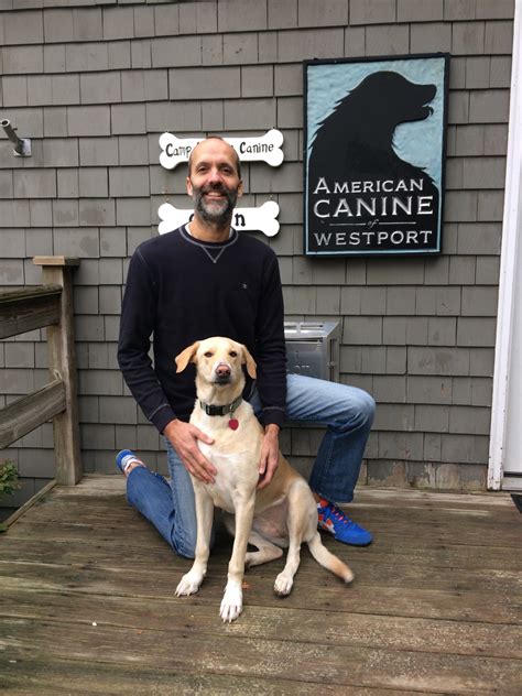 american canine westport|camp american canine.